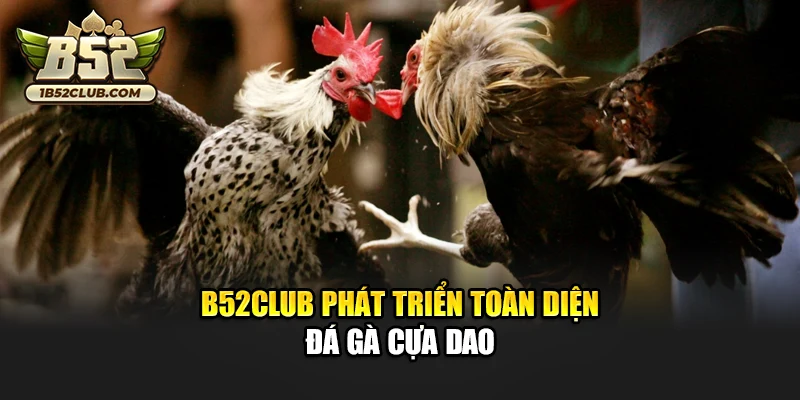 B52club phát triển toàn diện đá gà cựa dao