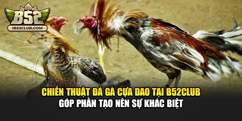 Chiến thuật đá gà cựa dao tại B52club góp phần tạo nên sự khác biệt