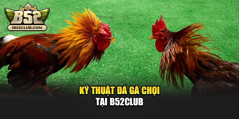 Kỹ thuật đá gà chọi tại B52club