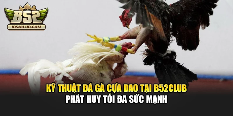 Kỹ thuật đá gà cựa dao tại B52club phát huy tối đa sức mạnh