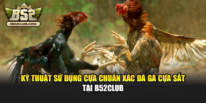 Kỹ thuật sử dụng cựa chuẩn xác đá gà cựa sắt tại B52club